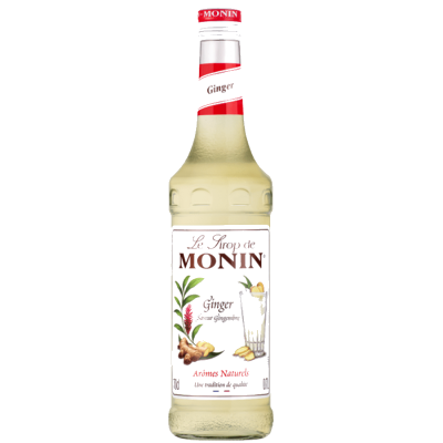 MONIN GINGER SYRUP 6/70 CL | Saudi Supplier