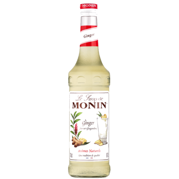 MONIN GINGER SYRUP 6/70 CL | Saudi Supplier