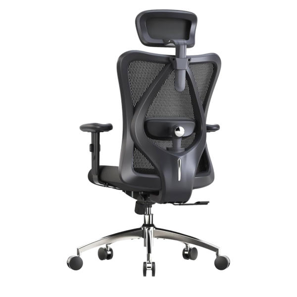 SIHOO M18 Ergonomic Office Chair